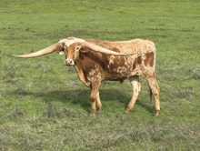 3/2/23 EXPLODED BC 73