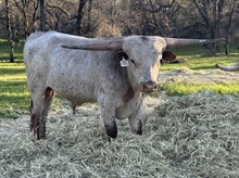 5/27/24 IRON TROPHY BC