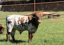 9/3/24 SHES DUNN UP BC